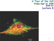A%20Tour%20of%20the%20Cell