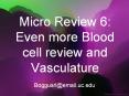 Micro Review 6: Even more Blood cell review and Vasculature PowerPoint PPT Presentation