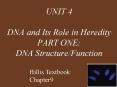 UNIT 4 DNA and Its Role in Heredity PART ONE: DNA Structure/Function PowerPoint PPT Presentation