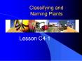 Classifying and Naming Plants PowerPoint PPT Presentation