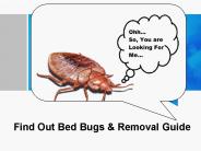 Find Out Bed Bugs & Removal Guide 2015