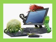 Entfernen Adobe Flash Player Packages
