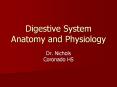 Digestive System Anatomy and Physiology PowerPoint PPT Presentation