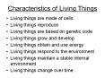 Characteristics of Living Things PowerPoint PPT Presentation