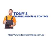 Termite Inspection Gold Coast
