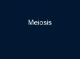 Meiosis PowerPoint PPT Presentation