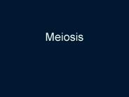 Meiosis