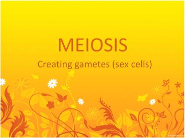 MEIOSIS