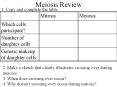 Meiosis Review PowerPoint PPT Presentation