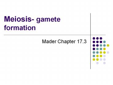 Meiosis- gamete formation