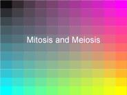 Mitosis%20and%20Meiosis