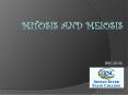 Mitosis and Meiosis PowerPoint PPT Presentation