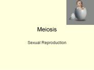 Meiosis