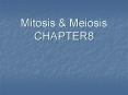 Mitosis PowerPoint PPT Presentation