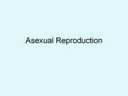 Asexual%20Reproduction