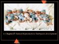 Chapter 27 Animal Reproduction Embryonic development PowerPoint PPT Presentation