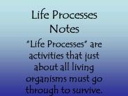 Life%20Processes%20Notes