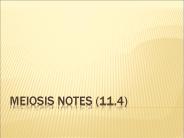 MEIOSIS NOTES (11.4)