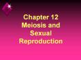 Chapter 12 Meiosis and Sexual Reproduction PowerPoint PPT Presentation
