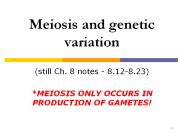 Meiosis and genetic variation
