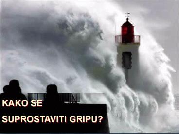 G R I P  I DRUGE NAJCE