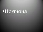 Hormona