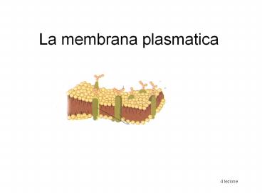 La membrana plasmatica