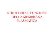 STRUTTURA E FUNZIONE DELLA MEMBRANA PLASMATICA
