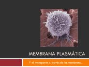 MEMBRANA PLASM