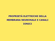 PROPRIET