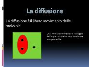 Diapositiva 1