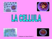 Diapositiva 1