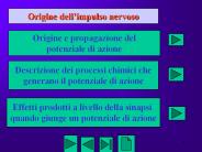 Nessun titolo diapositiva