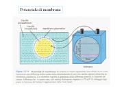 Diapositiva 1