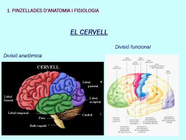 presentation player overlay