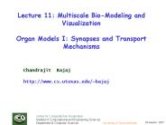 Center for Computational Visualization