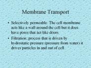Membrane Transport