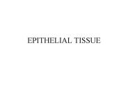 EPITHELIAL TISSUE