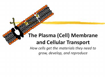 The%20Plasma%20(Cell)%20Membrane%20and%20Cellular%20Transport