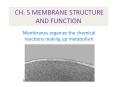 CH. 5 MEMBRANE STRUCTURE AND FUNCTION PowerPoint PPT Presentation