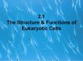 2.1 The Structure PowerPoint PPT Presentation