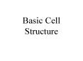 Basic Cell Structure PowerPoint PPT Presentation