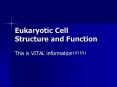 Eukaryotic Cell Structure and Function PowerPoint PPT Presentation