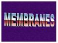 MEMBRANES PowerPoint PPT Presentation