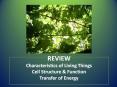 REVIEW Characteristics of Living Things Cell Structure PowerPoint PPT Presentation