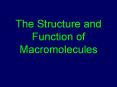 The Structure and Function of Macromolecules PowerPoint PPT Presentation