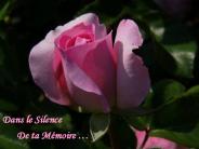 Dans le Silence