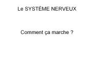 Le SYST