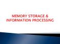 MEMORY STORAGE PowerPoint PPT Presentation