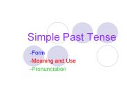 Simple Past Tense